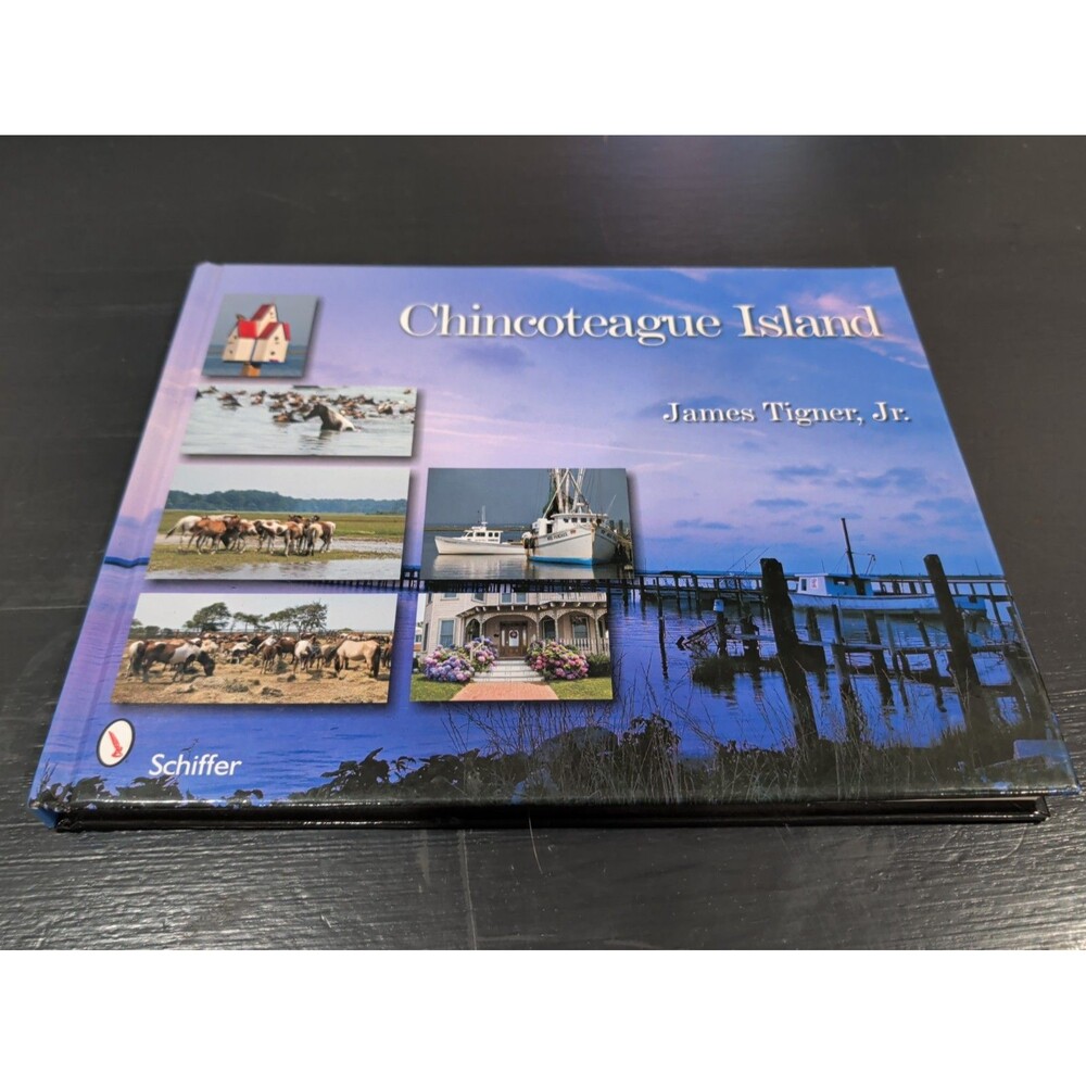 Chincoteague Island by Jr. Tigner James (2008, Hardcover)